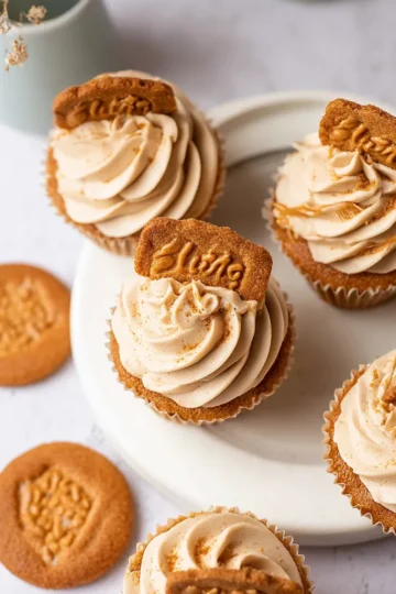 Easy Biscoff Cookie Butter Cupcakes