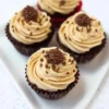 Ohio State Birthday Cake Buckeye Cupcakes